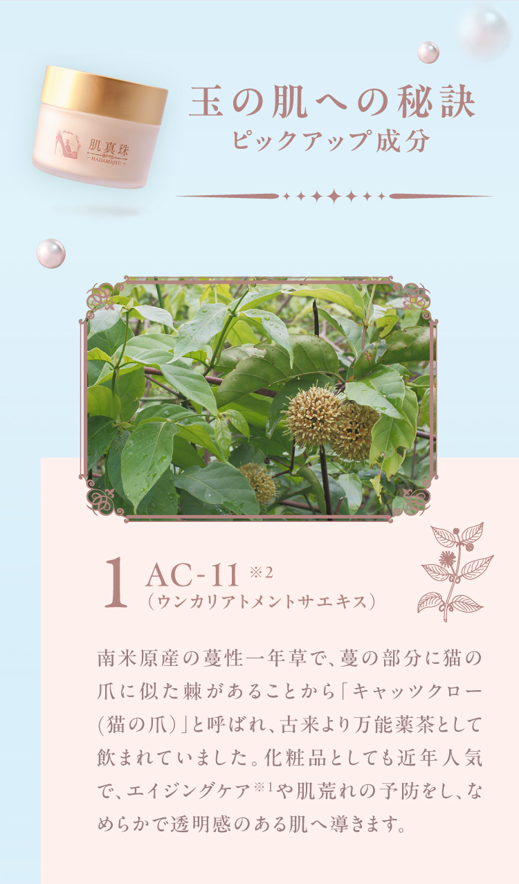 通販】肌真珠-HADAMAJYU- 50g ｜ 【公式通販】しろがねのりこセレクション